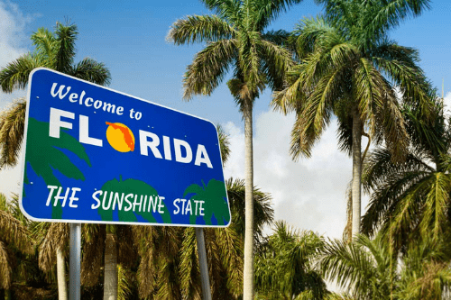 Florida Travel USA Sunshine Live Move